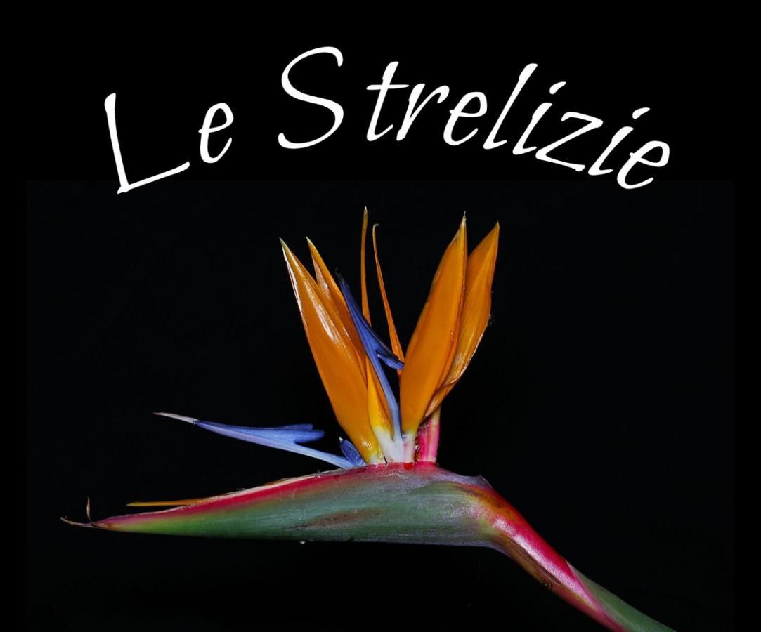 アルネザーノLe Strelizieアパートメント エクステリア 写真